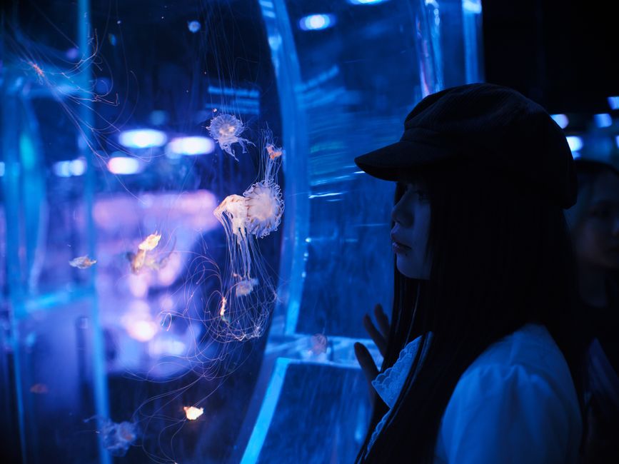 Aquarium Kaiyukan