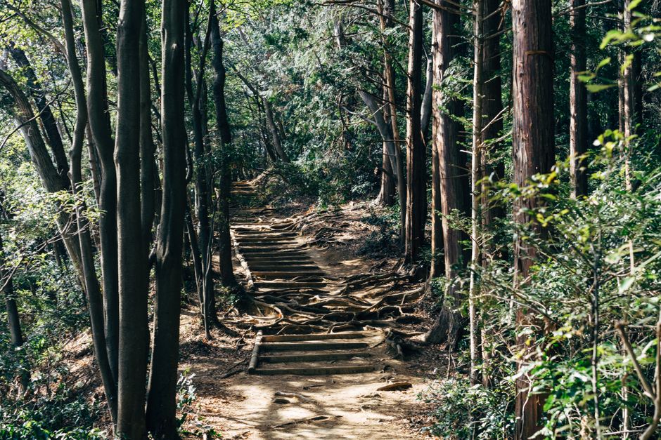 Mont Takao, randonnée à 1 heure de Tokyo